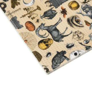 Curiosity Curio Foam Yoga Mat